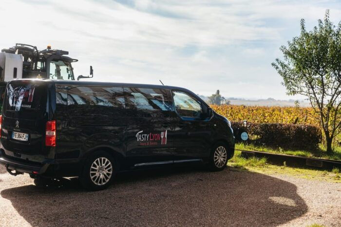 From Lyon: Beaujolais Region Wine Tour With Tastings - Understanding the Terroir of Beaujolais Wines