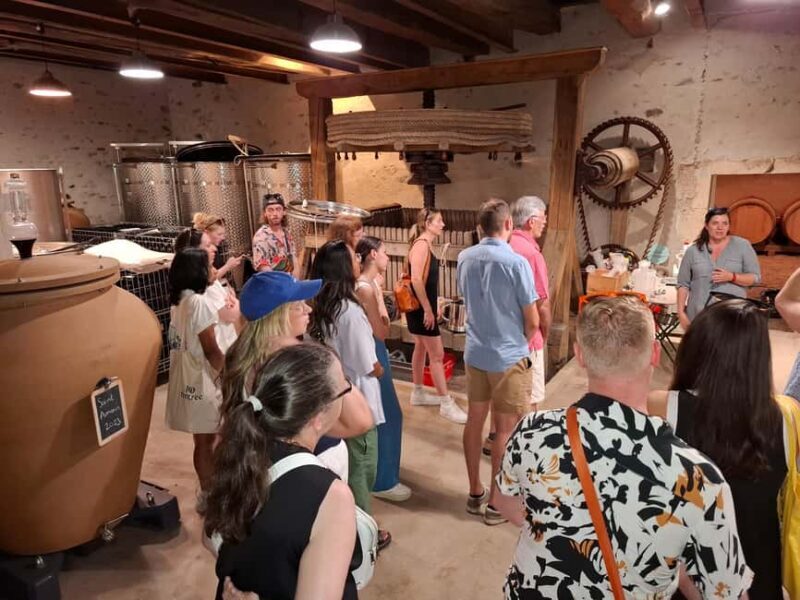 From Lyon: Beaujolais Wine Route Half-Day Tour - A Genuine Look at the Beaujolais Experience