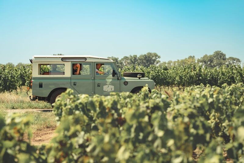 From Lyon: Burgundy Private Half Day Tour by Defender - Wine Tasting at a Hand-Picked Winery