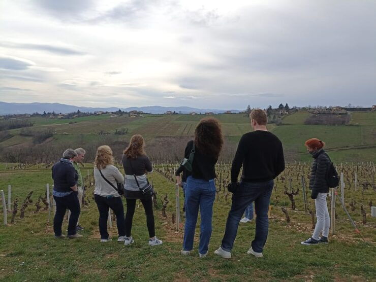 From Lyon: Guided Beaujolais Tour With Wine Tasting - Experience Highlights