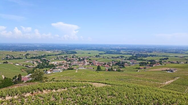 From Lyon: Guided Beaujolais Tour With Wine Tasting - Scenic Beauty of Beaujolais