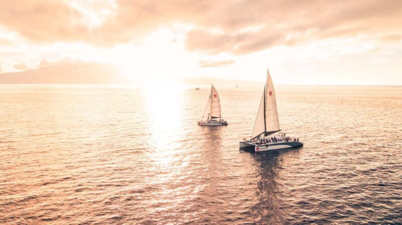From Ma'alaea: 'Alihilani Sunset Sail Catamaran Tour - Who Should Consider This Tour?  
