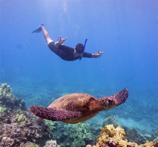 From Ma'alaea Harbor: Lana'i Snorkel and Dolphin Adventure - Cruise and Captains Commentary