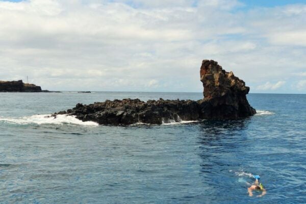 From Ma'alaea Harbor: Lana'i Snorkel and Dolphin Adventure - Common Questions