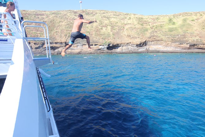 From Maalaea Harbor, Maui: Molokini Snorkeling Adventure Aboard Calypso - Marine Life at Molokini Crater