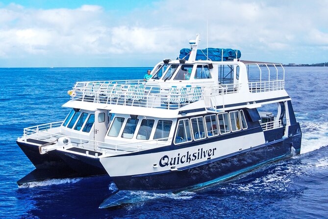 From Maalaea Harbor: Whale Watching Tours Aboard the Quicksilver - Additional Information