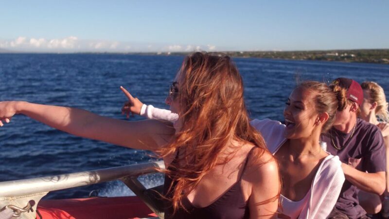 From Maalaea: Whale Watching Catamaran Cruise with Drinks - FAQ