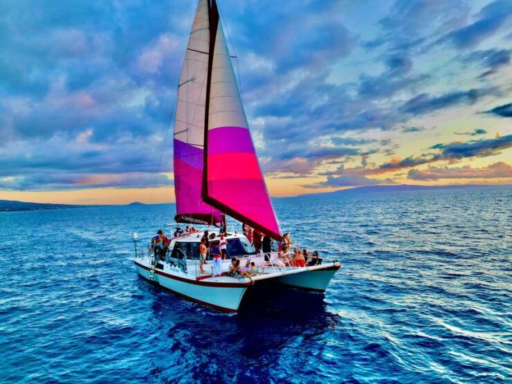 From Maalaea: Whale Watching Catamaran Cruise With Drinks - Booking and Payment Information