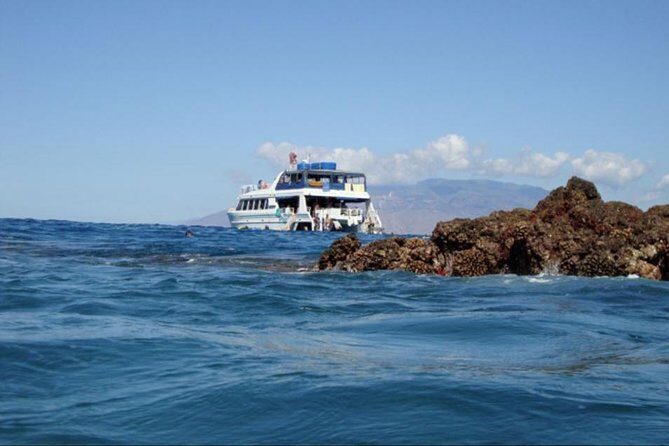 From Maalaea: Whale Watching Tour Aboard the Quicksilver - Who Should Book This Tour?