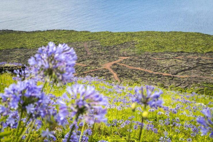 From Madalena: Pico Volcanoes and Lakes Guided Day Tour - Activity Details