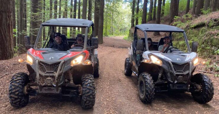 From Madeira: Private Buggy Driving Experience With Pickup - Activity Details