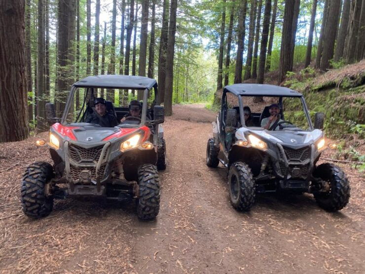 From Madeira: Private Buggy Driving Experience With Pickup - Experiencing the Lush Vegetation