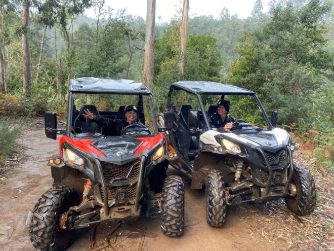 From Madeira: Private Buggy Driving Experience With Pickup - Highlights of the Tour