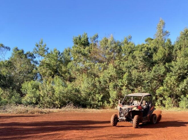 From Madeira: Private Buggy Driving Experience With Pickup - Customer Reviews and Recommendations