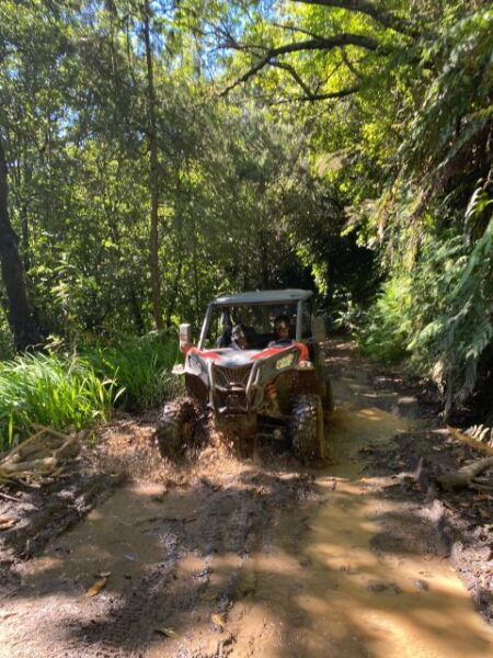 From Madeira: Private Buggy Driving Experience With Pickup - Common Questions