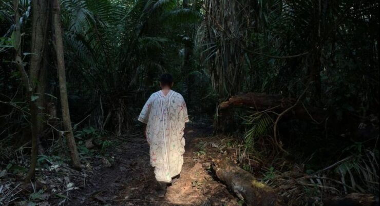 From Madre De Dios Night Trekking in the Amazon Jungle - Good To Know