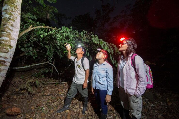 From Madre De Dios Night Trekking in the Amazon Jungle - Activity Details