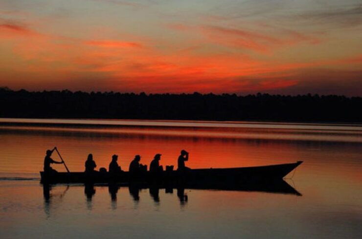 From Madre De Dios Night Trekking in the Amazon Rainforest - Activity Details