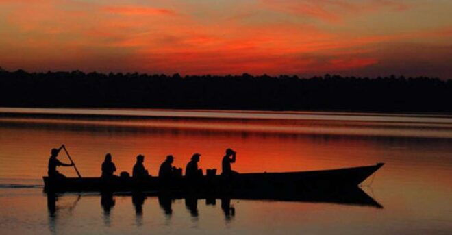 From Madre De Dios Night Trekking in the Amazon Rainforest - Inclusions