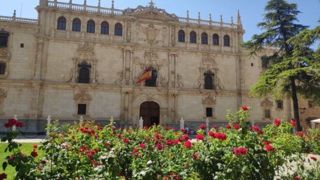 From Madrid: Alcalá De Henares & Cervantes Museum Day Trip - Immerse Yourself in 16th Century History