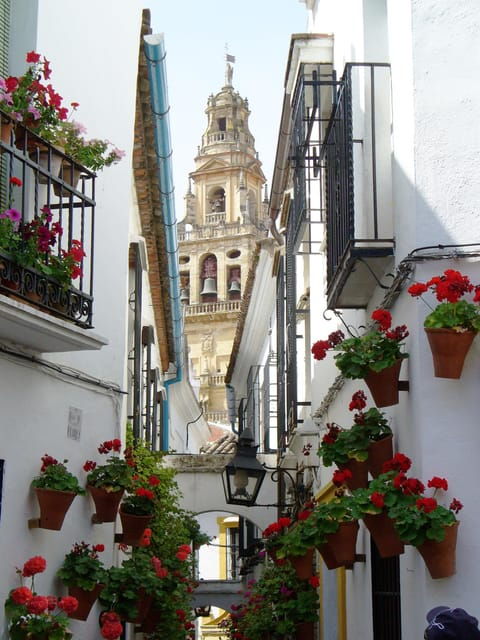 From Madrid: Cordoba Day Trip by High-Speed Train - Itinerary and Tour Highlights