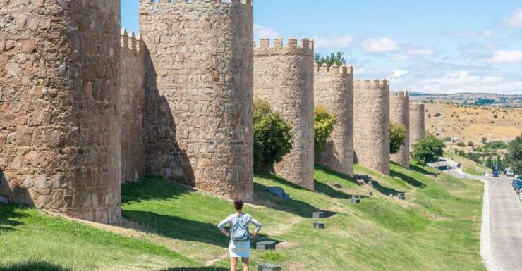 From Madrid: Day Trip to Ávila and Salamanca W/ Guided Tour - Highlights
