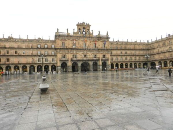 From Madrid: Day Trip to Ávila and Salamanca W/ Guided Tour - Additional Information