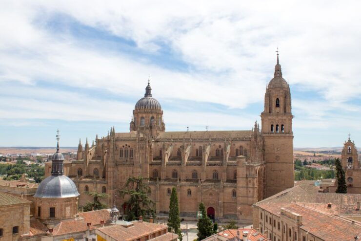 From Madrid: Day Trip to Salamanca With Private Tour - Tour Overview