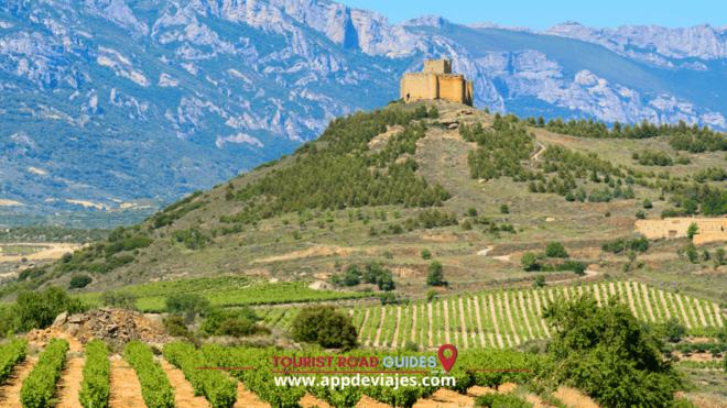 From Madrid: Don Quixote Route Tour Wines Mills & Farmhouses - Pickup and Itinerary