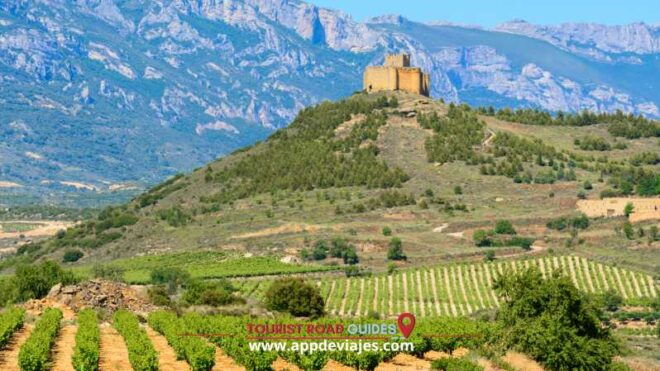 From Madrid: Don Quixote Route Tour Wines Mills & Farmhouses - Winery Visit and Tasting