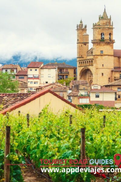 From Madrid: Don Quixote Route Tour Wines Mills & Farmhouses - Additional Details