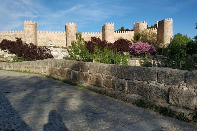 From Madrid : Full-Day Avila and Segovia ComBo Tour (with Transportation) - The Alcazar in Segovia