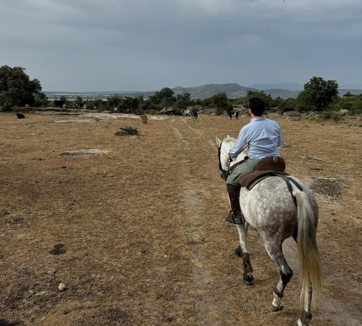 From Madrid: Horseback Riding Experience - Good To Know