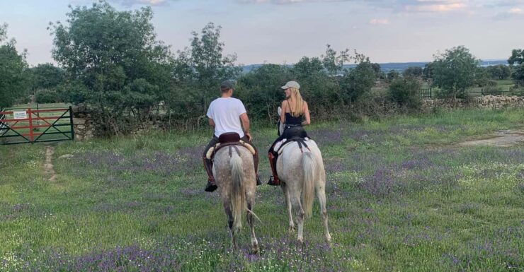 From Madrid: Horseback Riding Experience - Pricing and Booking