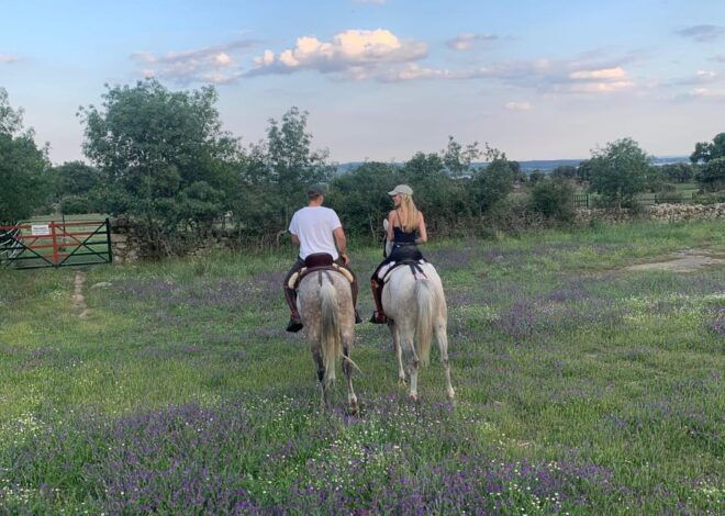 From Madrid: Horseback Riding Experience - Itinerary Highlights