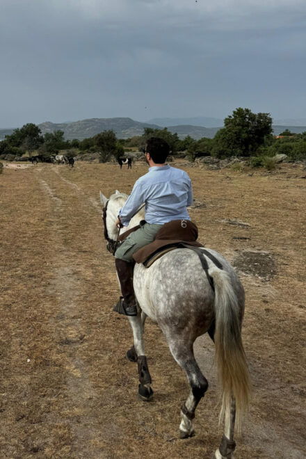 From Madrid: Horseback Riding Experience - Meeting Point and Transport