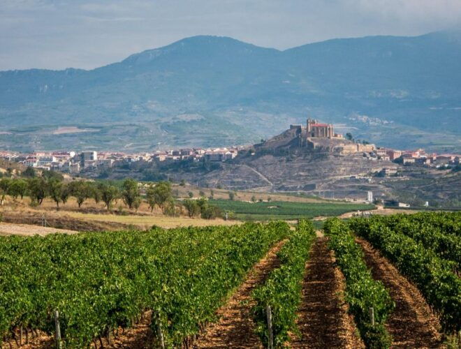 From Madrid: La Rioja & the Basque Country 4 Day Tour - Important Information