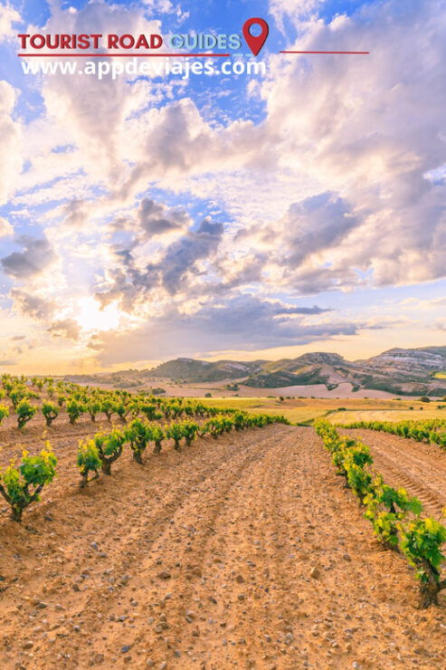 From Madrid: Peñafiel Castle, Ribera Del Duero Tour & Wine - Good To Know