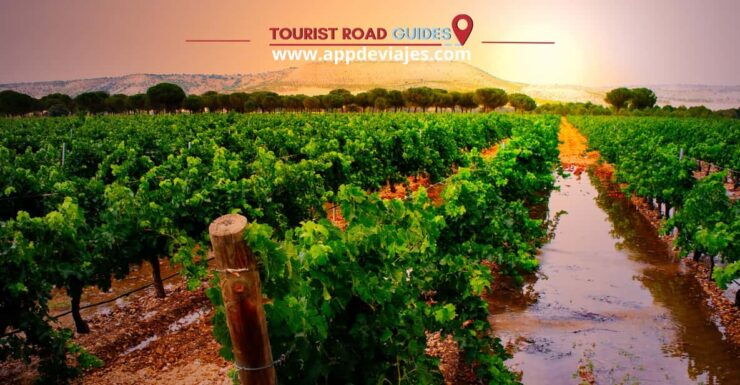 From Madrid: Peñafiel Castle, Ribera Del Duero Tour & Wine - Itinerary and Transportation