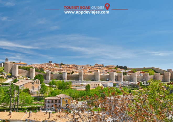 From Madrid: Private Tour of Ávila & Salamanca - Inclusions