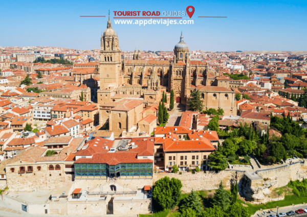 From Madrid: Private Tour of Ávila & Salamanca - Medieval Walls of Ávila