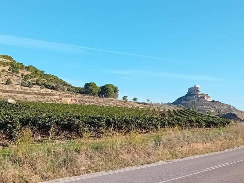 From Madrid: Ribera del Duero Wine Tour with Local Lunch - Frequently Asked Questions