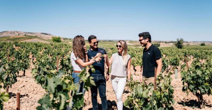 From Madrid: Ribera Del Duero Winery and Segovia Tour - Tour Details