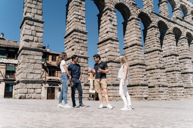 From Madrid: Ribera Del Duero Winery and Segovia Tour - Inclusions