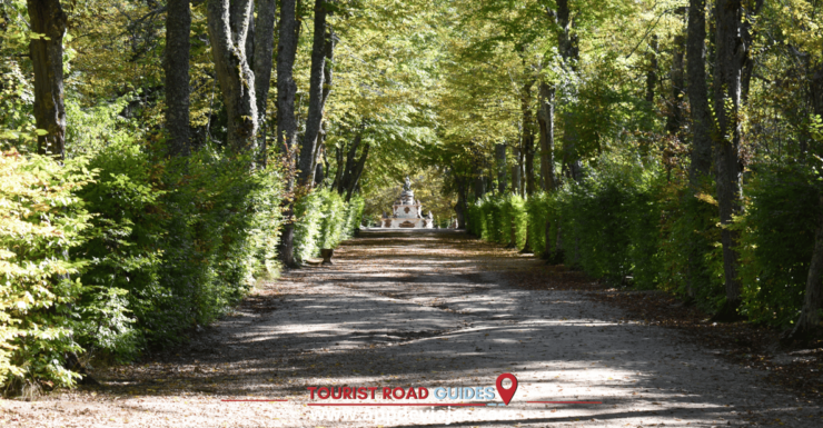 From Madrid: San Ildefonso Farm, Lunch and Segovia Tour - Good To Know