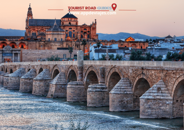 From Madrid: Seville & Mosque of Córdoba Day Tour by Train - Frequently Asked Questions