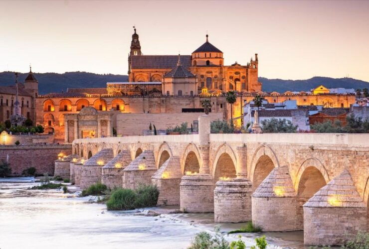 From Madrid: the Best of Córdoba in One Day by Train - Train Journey From Madrid to Córdoba