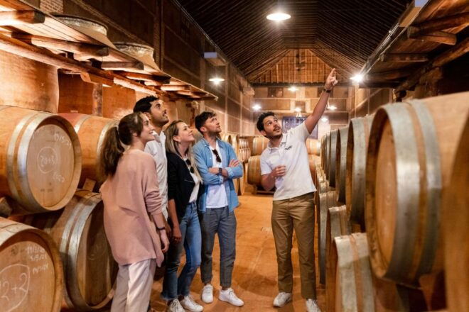 From Madrid: Toledo City Tour and Wine Tasting Experience - Full Description