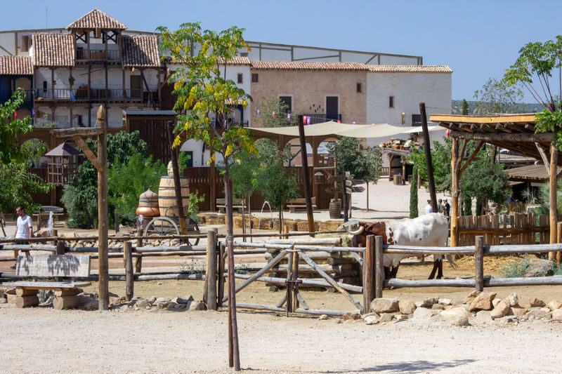 From Madrid: Transfer and tickets to Puy du Fou with Toledos Dream - El Sueño de Toledo brings the day to a close