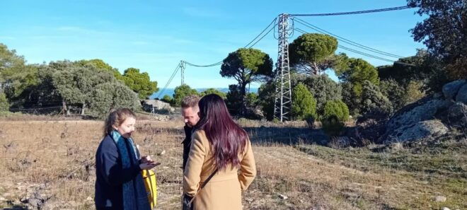 From Madrid: Winery Visit and Tasting Tour - Highlights